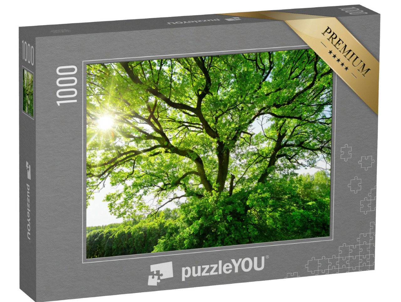 Puzzle 1000 pezzi „Un vecchio albero maestoso alla luce del sole“