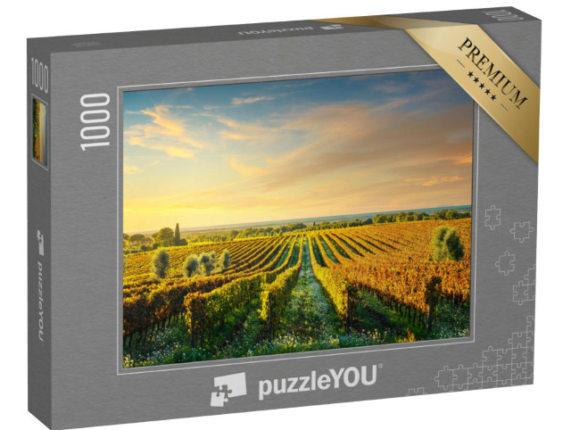 Puzzle 1000 pezzi „Vigneto di Bolgheri al tramonto, Maremma, Toscana“