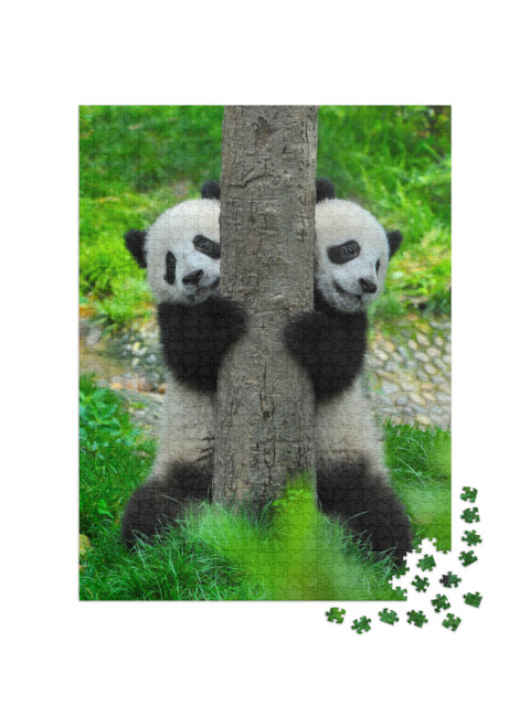 Puzzle 1000 pezzi „Gemelli panda“