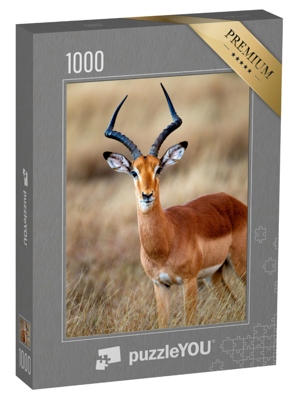 Puzzle 1000 pezzi „Un impala maschio nel Parco nazionale Kruger in Sudafrica“