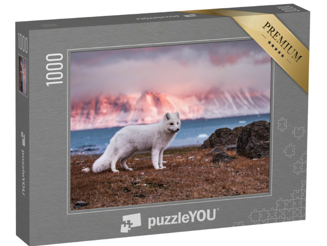 Puzzle 1000 pezzi „Volpe artica al sole d'autunno“