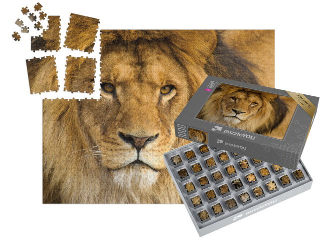 SMART SORTED® | Puzzle 1000 pezzi „Ritratto di un leone maschio“