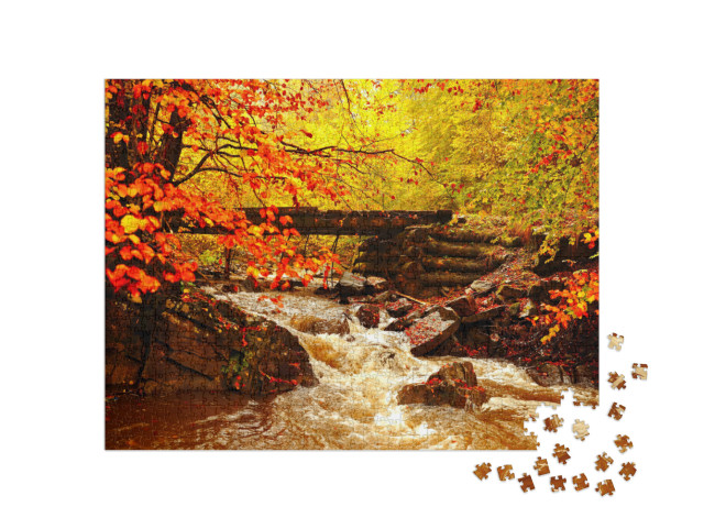 Puzzle 1000 pezzi „Bellissimo paesaggio autunnale vicino al ruscello nella foresta“