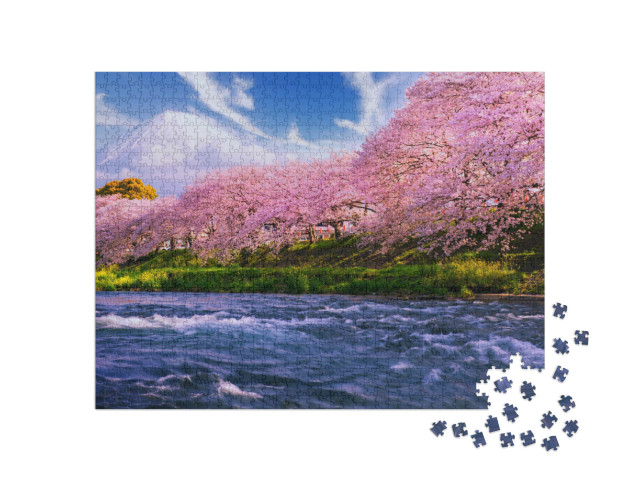 Puzzle 1000 pezzi „Sakura: fiori di ciliegio in Giappone, sullo sfondo il vulcano Fuji“