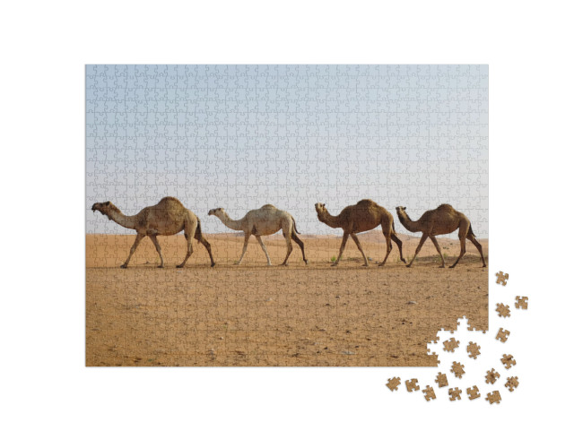 Puzzle 1000 pezzi „I cammelli dromedari attraversano il deserto“