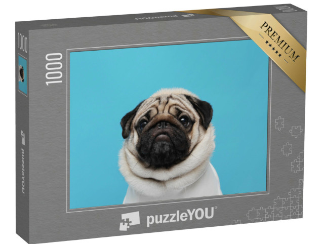 Puzzle 1000 pezzi „Un irresistibile muso da carlino“