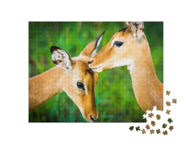 Puzzle 1000 pezzi „Giovane antilope impala“