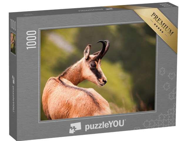 Puzzle 1000 pezzi „Ritratto di camoscio in natura“