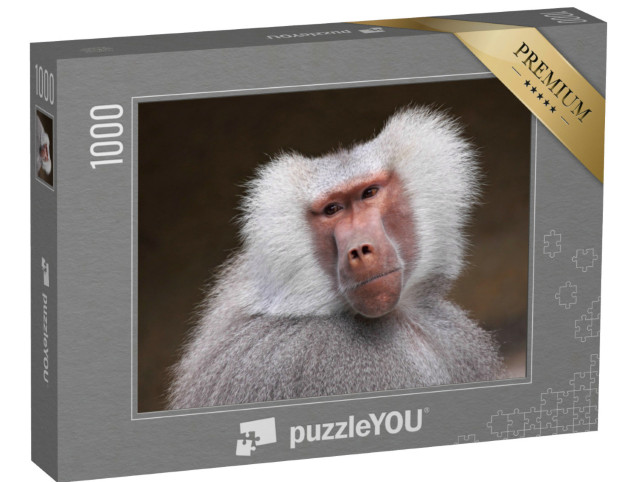 Puzzle 1000 pezzi „Ritratto di un babbuino riflessivo“