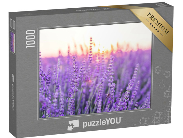 Puzzle 1000 pezzi „Tramonto su un campo di lavanda, Provenza, Francia“
