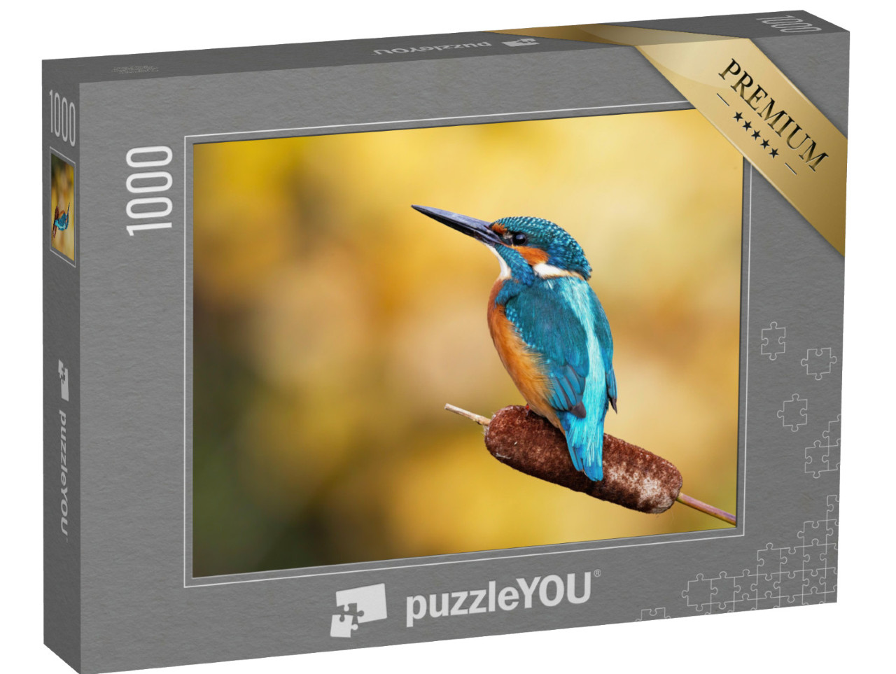 Puzzle 1000 pezzi „Un martin pescatore maschio con un magnifico piumaggio“