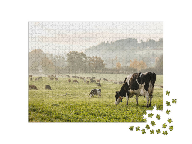 Puzzle 1000 pezzi „Mucche di razza Holstein in una mattina d'autunno in Svizzera“