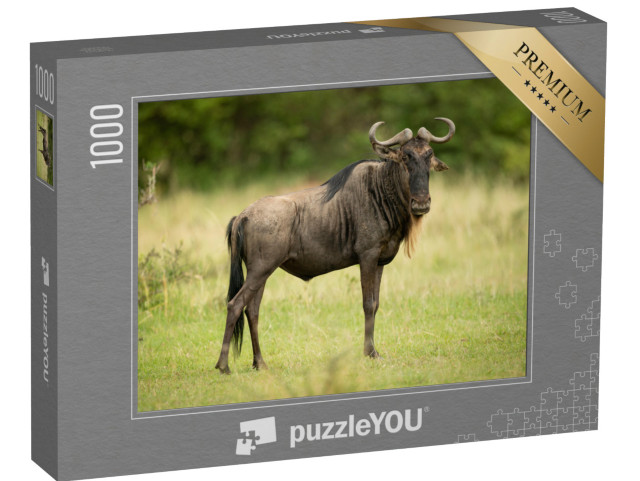 Puzzle 1000 pezzi „Gnu blu attento“