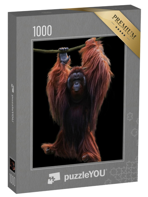 Puzzle 1000 pezzi „Orangutan appeso a una corda“