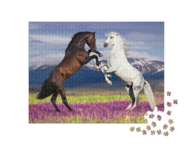 Puzzle 1000 pezzi „Bellezza selvaggia: due cavalli che ballano“