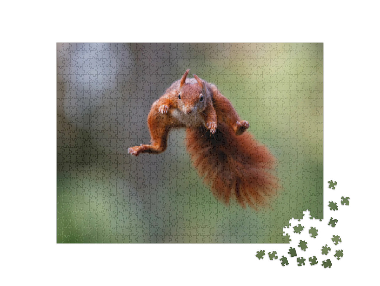 Puzzle 1000 pezzi „Lo scoiattolo rosso salta nella foresta“