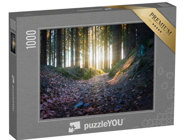 Puzzle 1000 pezzi „Raggi di sole nella foresta, Rennsteig“