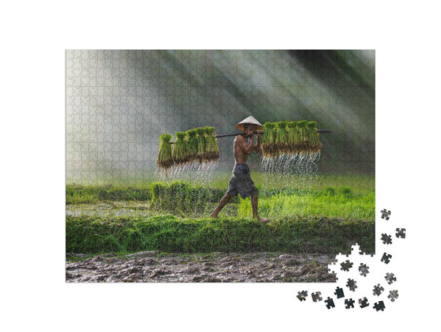 Puzzle 1000 pezzi „Il riso viene piantato: Agricoltura in Vietnam, risaia“
