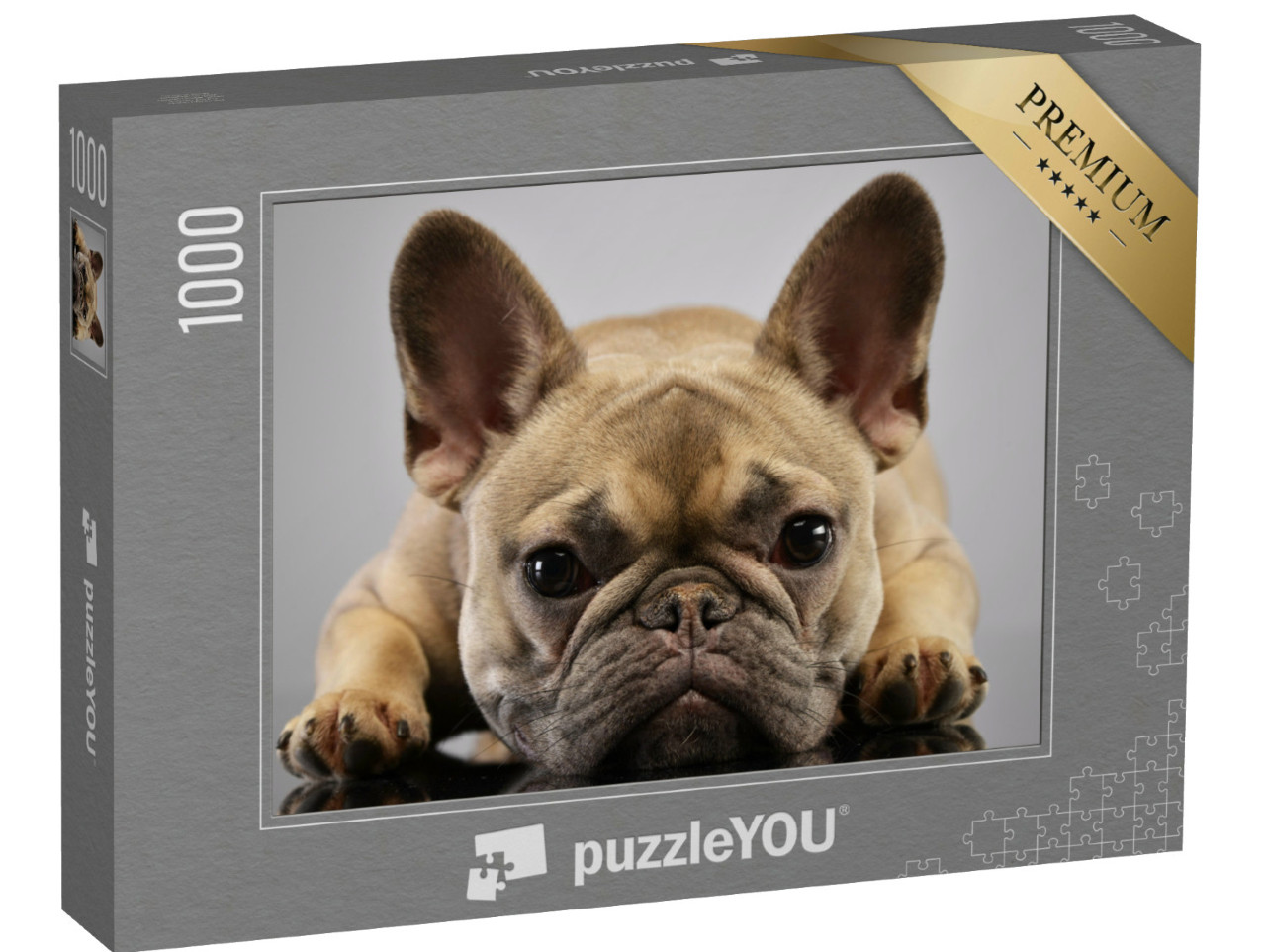 Puzzle 1000 pezzi „Ritratto di un adorabile bulldog francese“