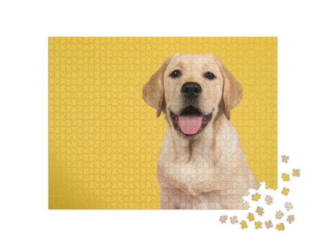 Puzzle 1000 pezzi „Ritratto di un Labrador retriever dorato“