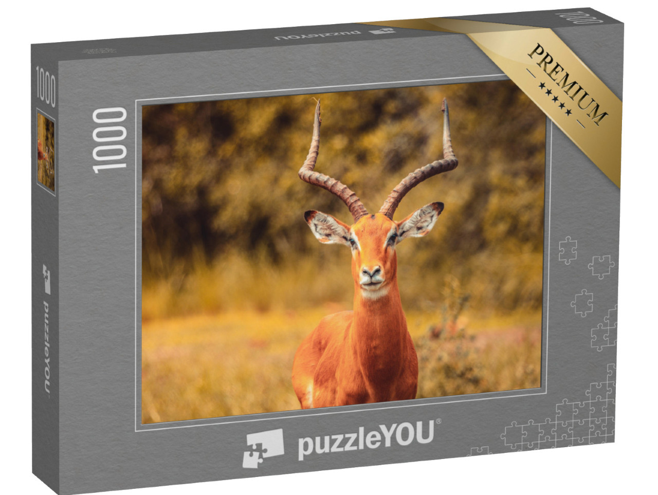 Puzzle 1000 pezzi „Antilope Impala“