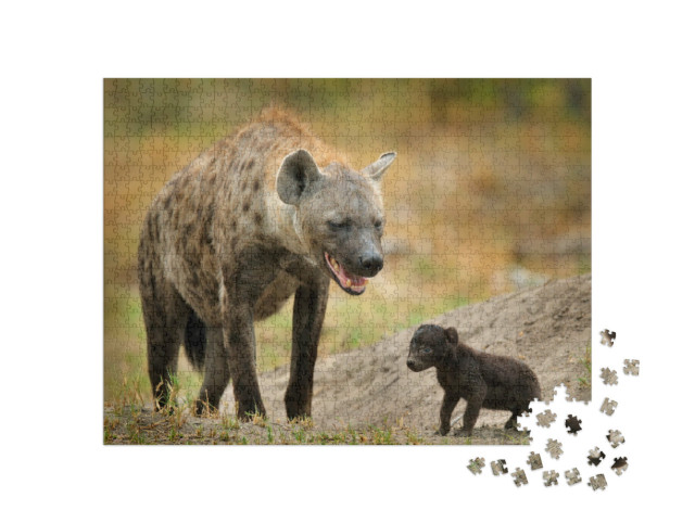 Puzzle 1000 pezzi „Cucciolo di iena appena nato con la madre, Okavango, Botswana“