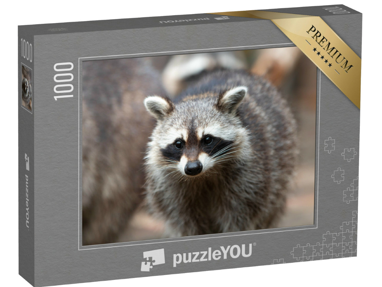 Puzzle 1000 pezzi „Procione nordamericano“