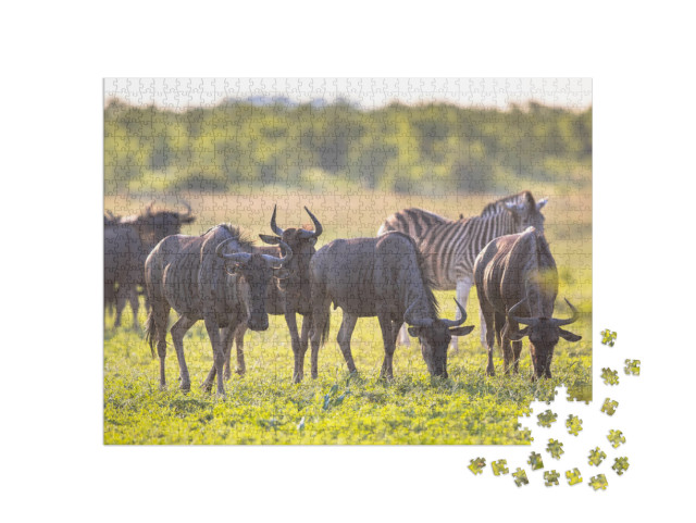 Puzzle 1000 pezzi „Gnu al pascolo nel letto del fiume Mooiplaas“