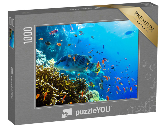 Puzzle 1000 pezzi „Vari pesci subacquei colorati“