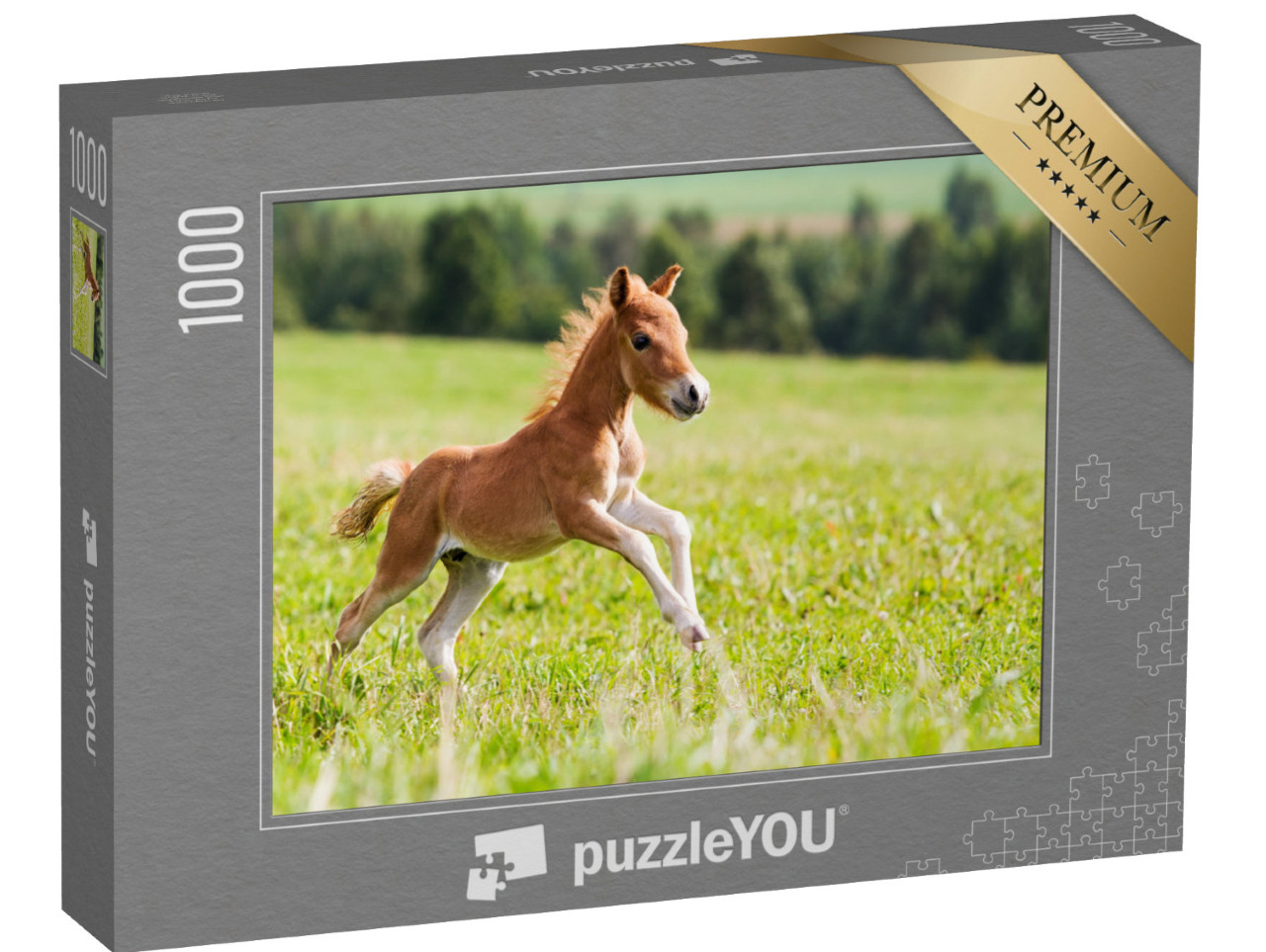 Puzzle 1000 pezzi „Mini cavallo Falabella“