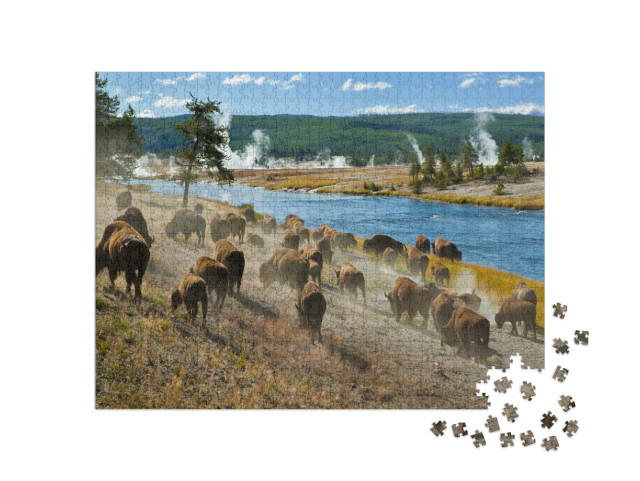 Puzzle 1000 pezzi „Una mandria di bisonti sul fiume Firehole nel Parco Nazionale di Yellowstone“