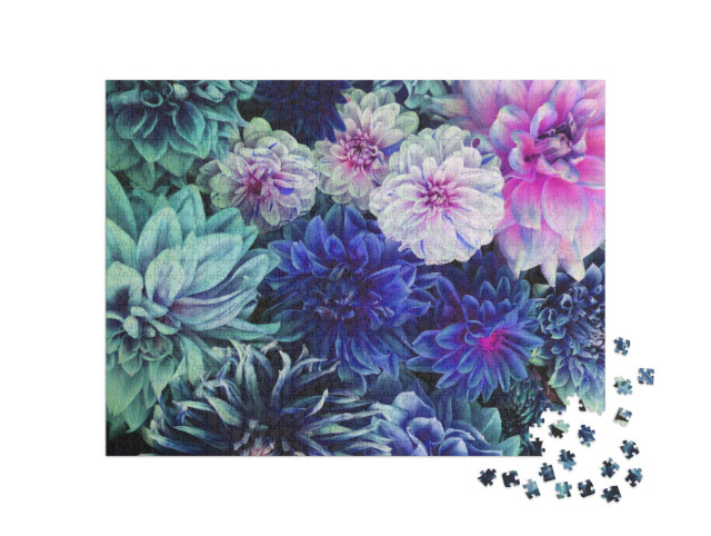 Puzzle 1000 pezzi „Fiori di dalia bianchi e viola in piena fioritura“