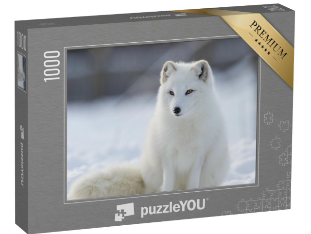 Puzzle 1000 pezzi „Volpe artica in inverno“