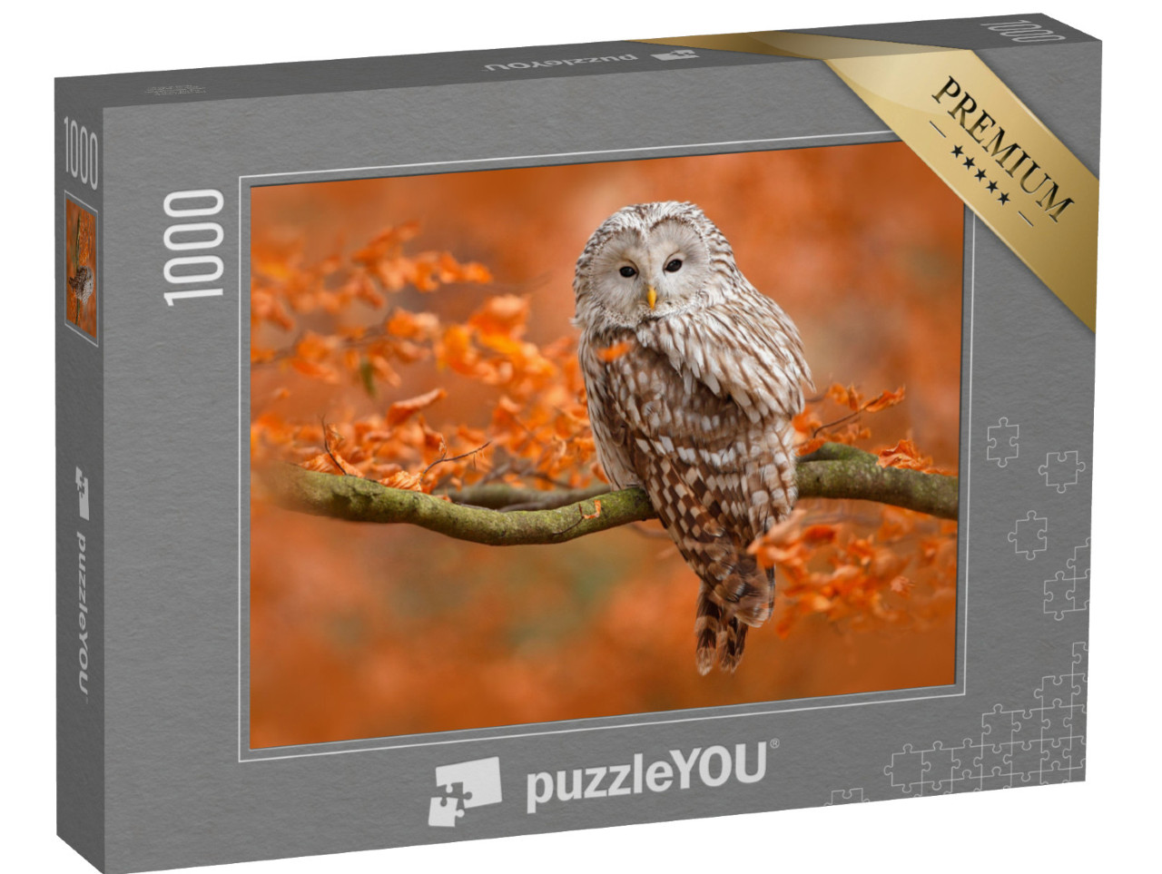 Puzzle 1000 pezzi „Fotografia d'autunno con gufo, gufo degli Urali, seduto su un ramo in un bosco di querce, Norvegia“