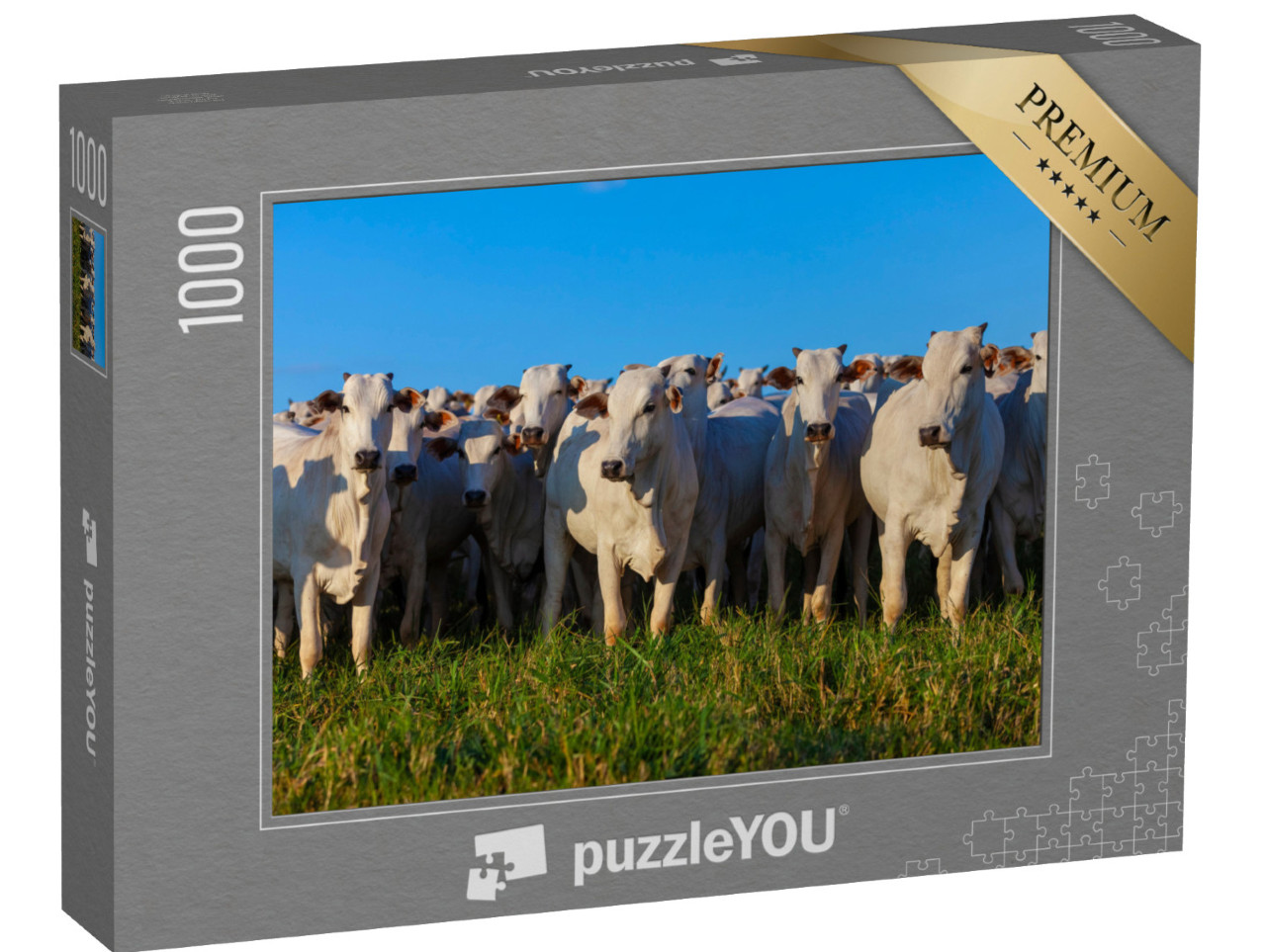 Puzzle 1000 pezzi „Mandria di bovini Nellore al pascolo“