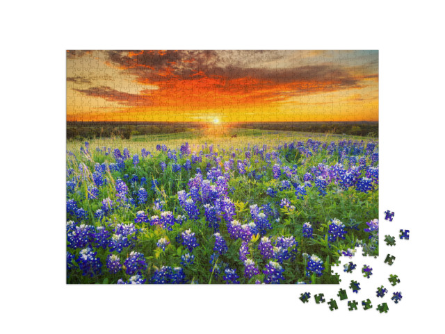 Puzzle 1000 pezzi „Bluebonnets“