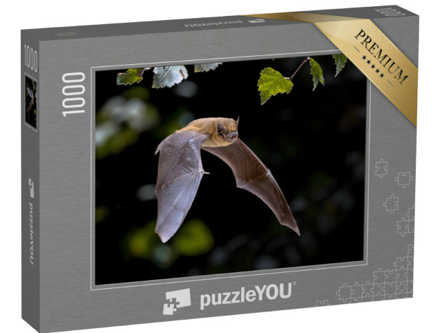 Puzzle 1000 pezzi „Pipistrello che vola nella foresta“