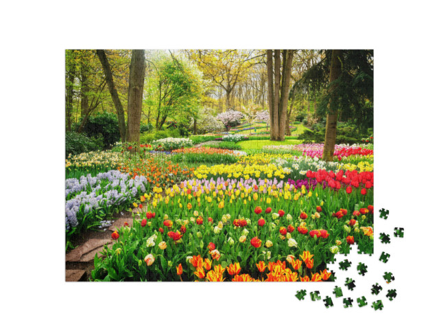 Puzzle 1000 pezzi „Un mare di tulipani colorati nel parco“
