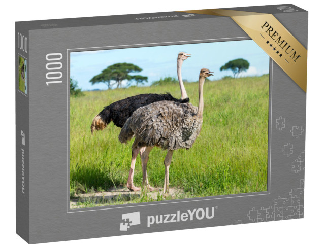 Puzzle 1000 pezzi „Coppia di struzzi in Tanzania, Africa“