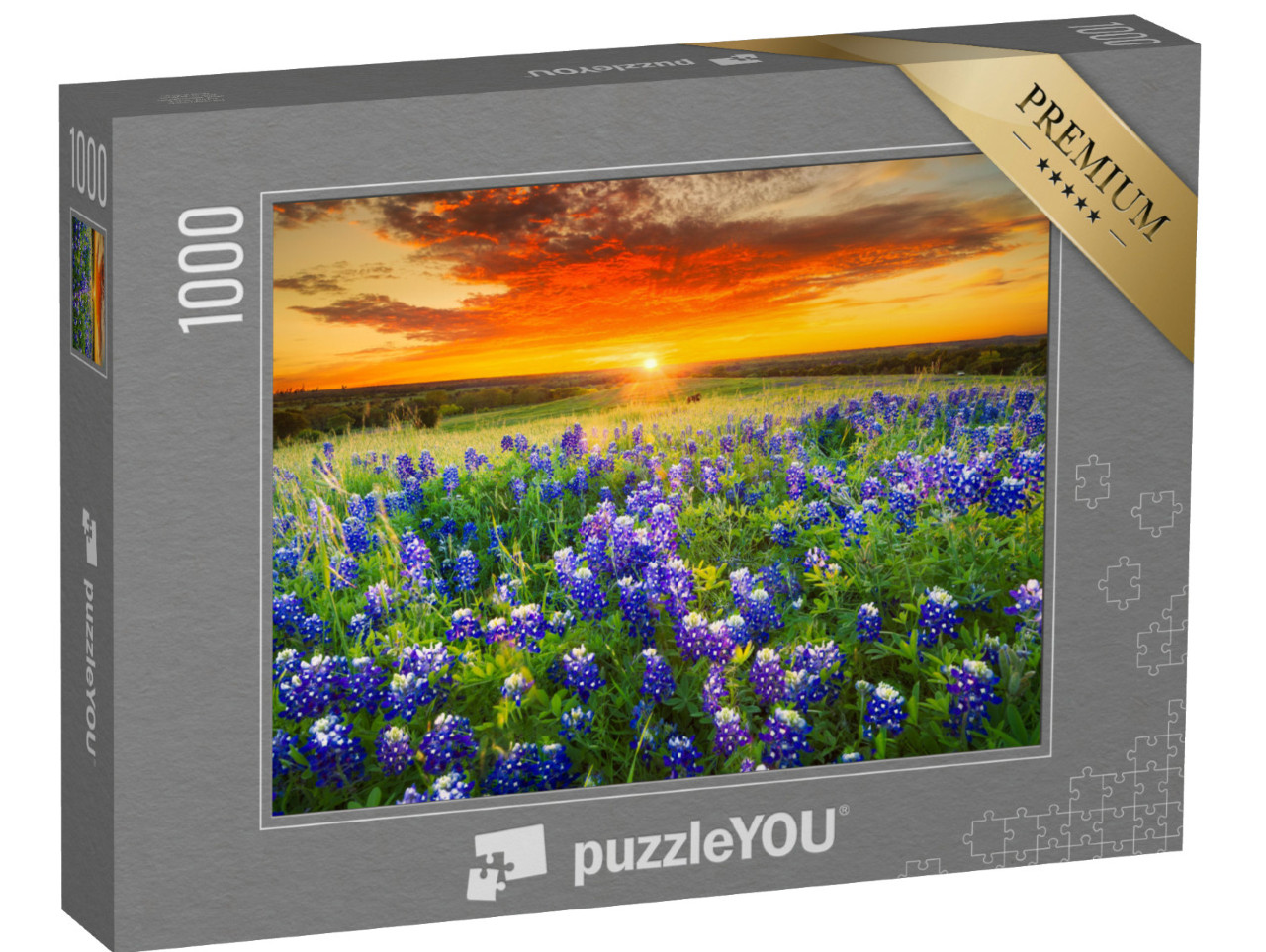 Puzzle 1000 pezzi „Bluebonnets“