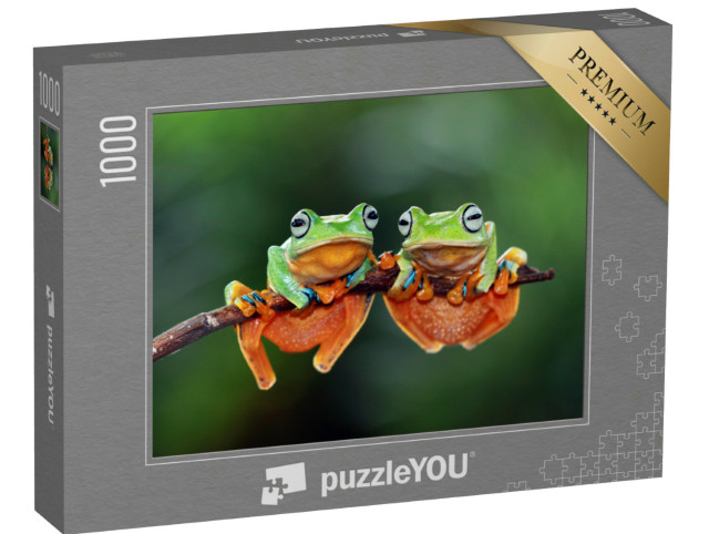 Puzzle 1000 pezzi „Rane arboree su un piccolo ramo“