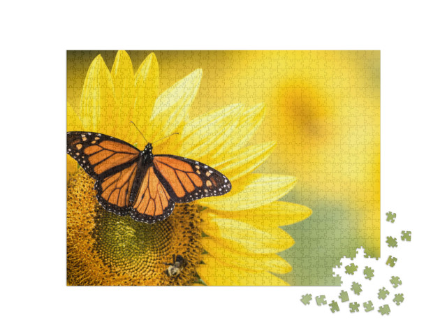 Puzzle 1000 pezzi „Farfalla monarca, Danaus Plexippus, su un girasole“