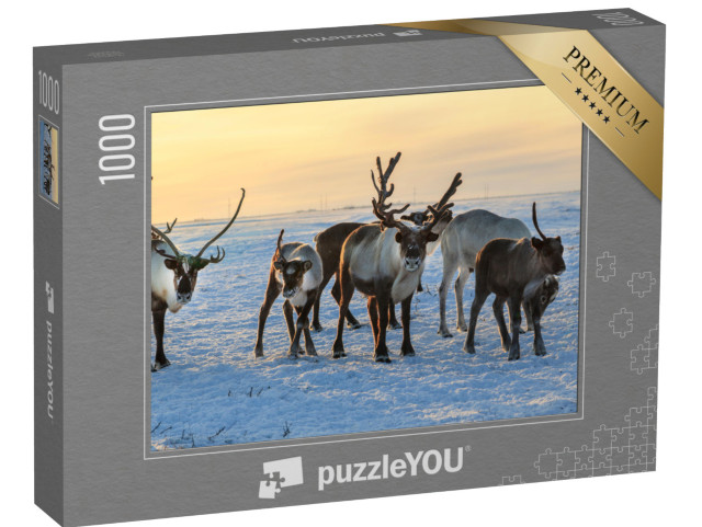 Puzzle 1000 pezzi „Branco di renne nella neve“