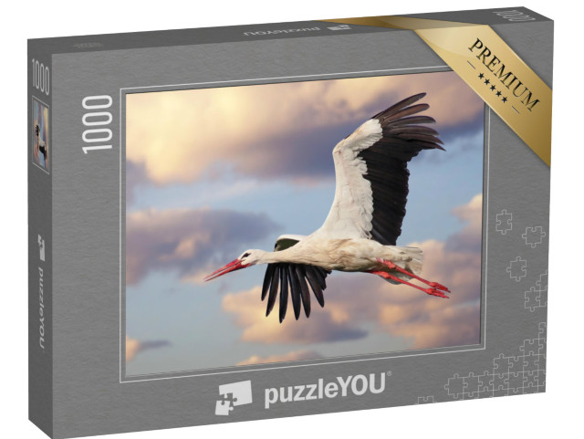 Puzzle 1000 pezzi „Una cicogna bianca in volo con un cielo nuvoloso“