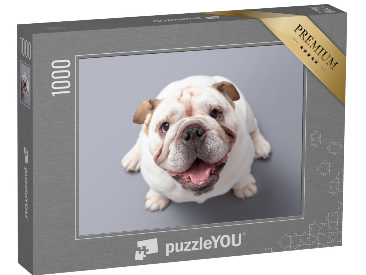 Puzzle 1000 pezzi „Cucciolo di bulldog inglese che guarda verso l'alto“