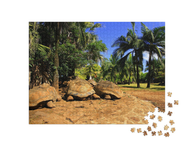 Puzzle 1000 pezzi „Tre grandi tartarughe giganti a Mauritius“