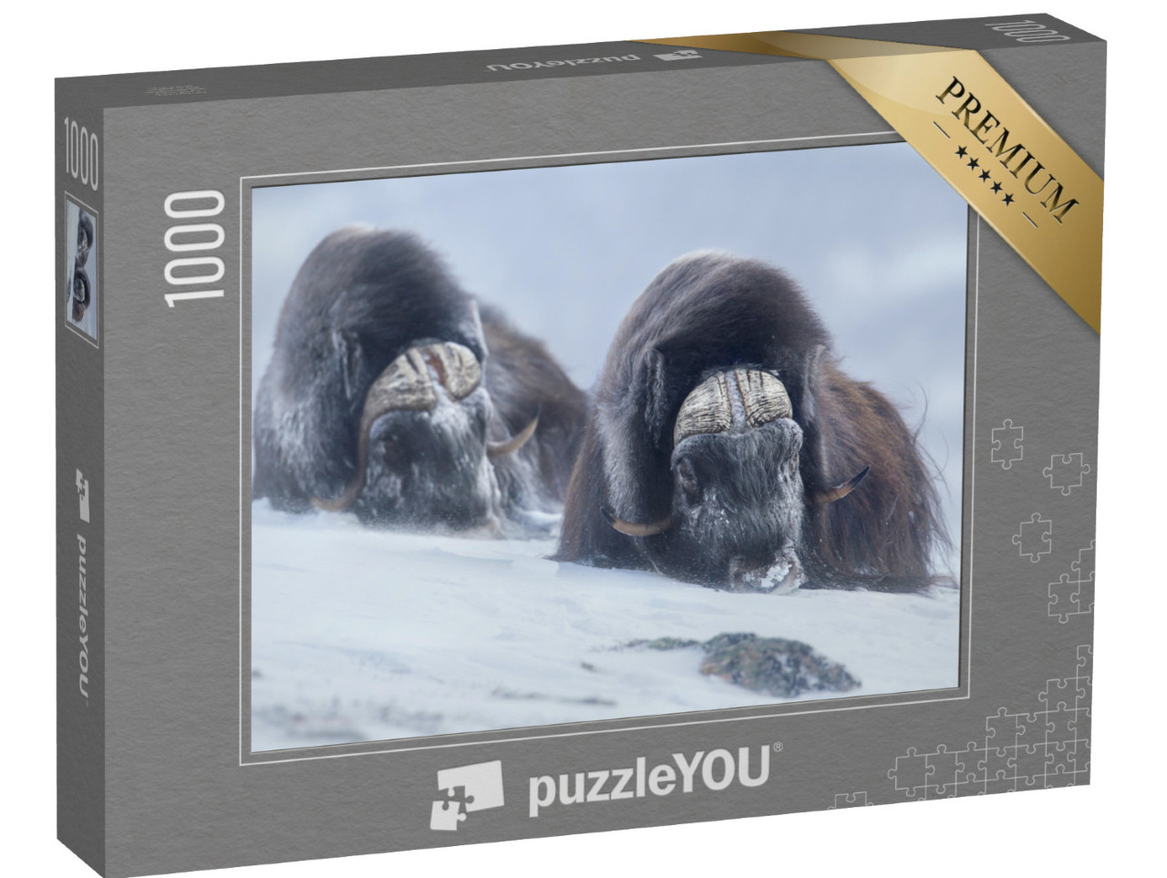 Puzzle 1000 pezzi „Due buoi muschiati nell'inverno norvegese“