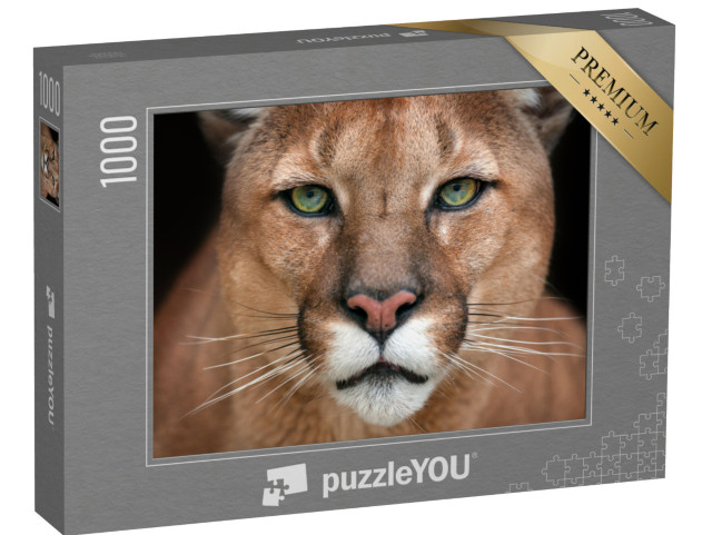 Puzzle 1000 pezzi „Primo piano di un puma“