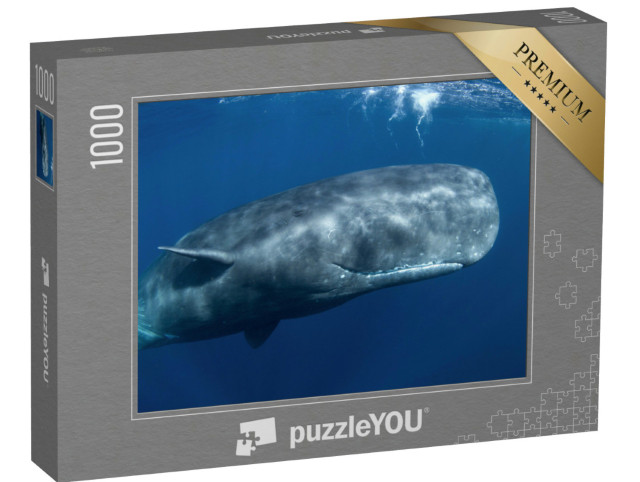Puzzle 1000 pezzi „Capodoglio, Physeter macrocephalus, nell'Oceano Indiano“