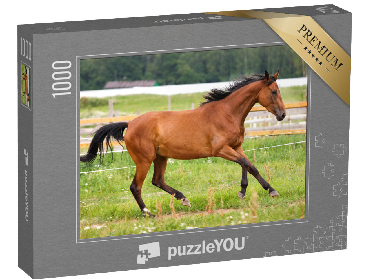 Puzzle 1000 pezzi „Cavallo al galoppo in un prato“